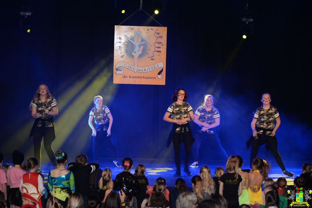 ../Images/Dansmarieke festival 2018 437.jpg